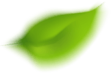 leaf-img