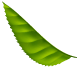 leaf-img