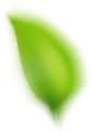 leaf-img