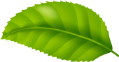 leaf-img