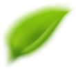 leaf-img